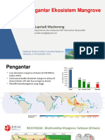 Pengantar Ekosistem Mangrove