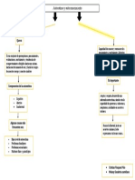 Mapa Conceptual