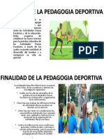 Finalidad de La Pedagogia Deportiva