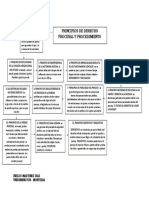 Mapa Conceptual Principios Procesales by Ineldo Martinez Diaz