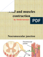NMJ and Muscles Contraction: By: FAHAD Hamdani