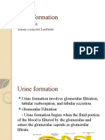 Urine Formation: Yousaf Khan Renal Dialysis Lecturer
