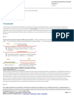 Capítulo 5 - Transcripción