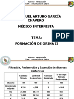 Formacion de Orina II