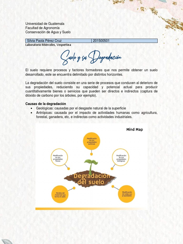 Causas y Consecuencias de la Degradación del Suelo | PDF | Suelo ...