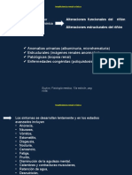 Diapositivas Fisiopatologia