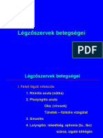 Ki Legzoszervek 2