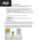 Microbial Culture Techniques Explained | PDF