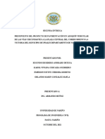 Segunda Entrega Poroyecto La Victoria