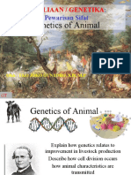 Genetics of Animal: Pemuliaan / Genetika