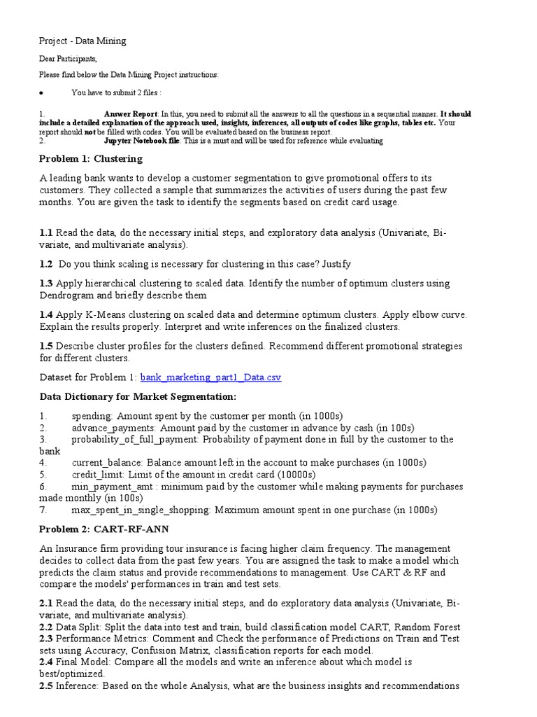 Data Mining Project Instructions | PDF | Computers