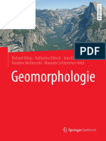 Dikau2019 Book Geomorphologie