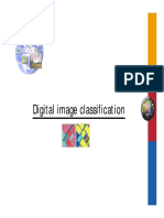 Digital Image Classification