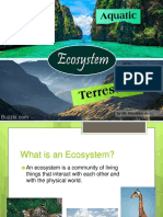 Ecosystems: by Mr. Noudelman