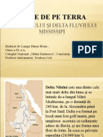 0 Delta Nilului