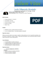 Sintesis Curricular Berbri en PDF