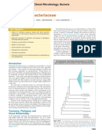 Enterobacteriaceae: Claire Jenkins - Rob J. Rentenaar - Luce Landraud - Sylvain Brisse