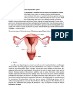 Anatomy and Physiology of Female Reproductive System