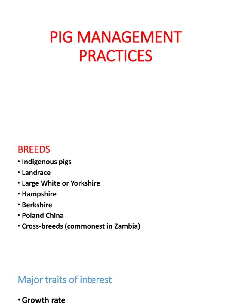 Effective Pig Management Practices | PDF | Domestic Pig | Wild Boar