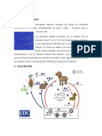 Parasitos Tisulares Por Larvas de Helmintos