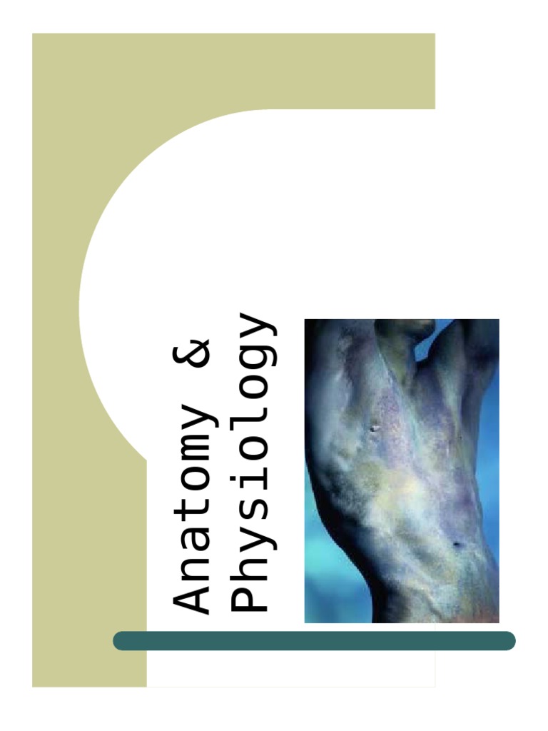 HUMAN ANATOMY AND PHYSIOLOGY TEXTBOOK FREE PDF visual data 7