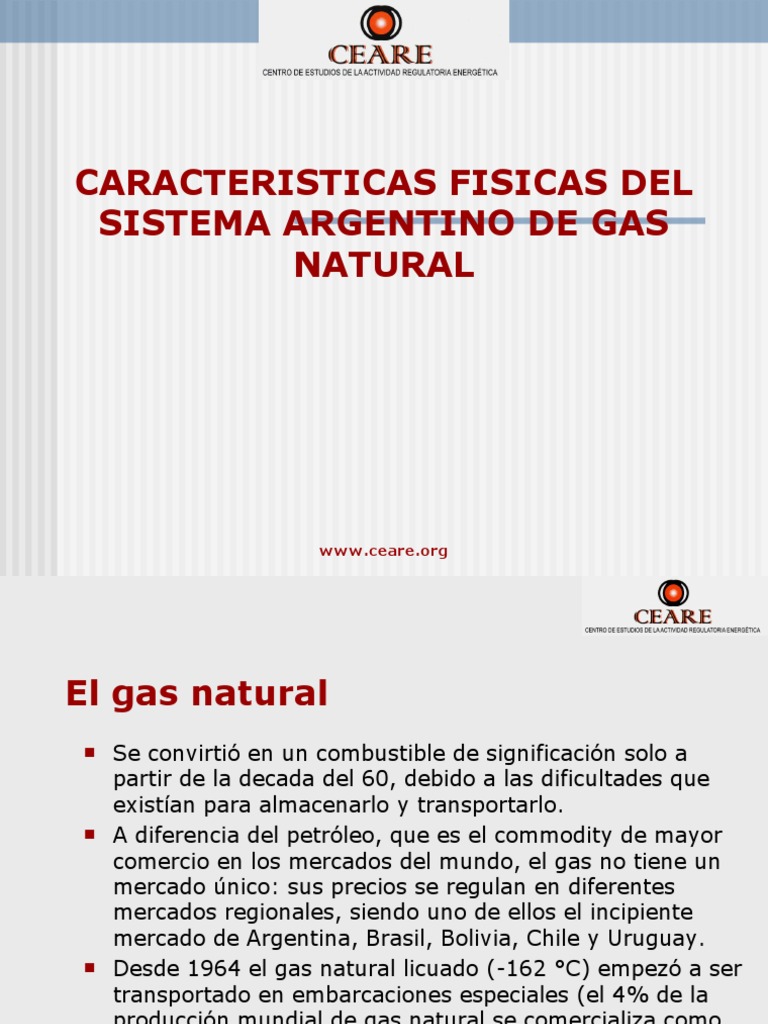 Características del Gas Natural en Argentina | PDF | Petróleo | Gas natural