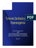 tumores-cardiacos-y-foco-hiperecogenico;-dra-maria-de-los-angeles-vera-herrera_archivo