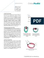 Cardiology - Cardiomyopathy