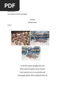NSTP - Narrative Report (Gardening)