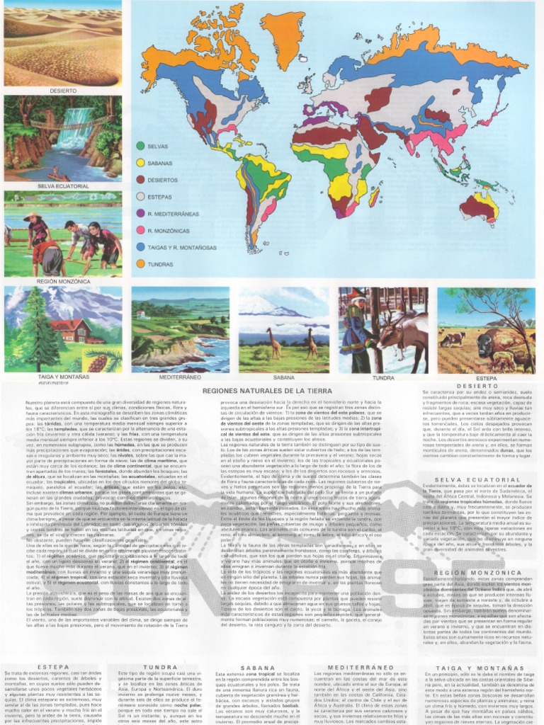 Regiones Naturales de La Tierra | PDF