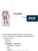 Muscles: Dr. Maung Myint