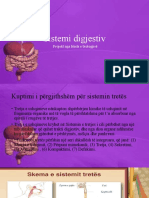 Sistemi Digjestiv