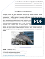 Interpretacao de Texto Por Que Golfinhos Seguem Embarcacoes 1o Ano Do Ensino Medio Respostas