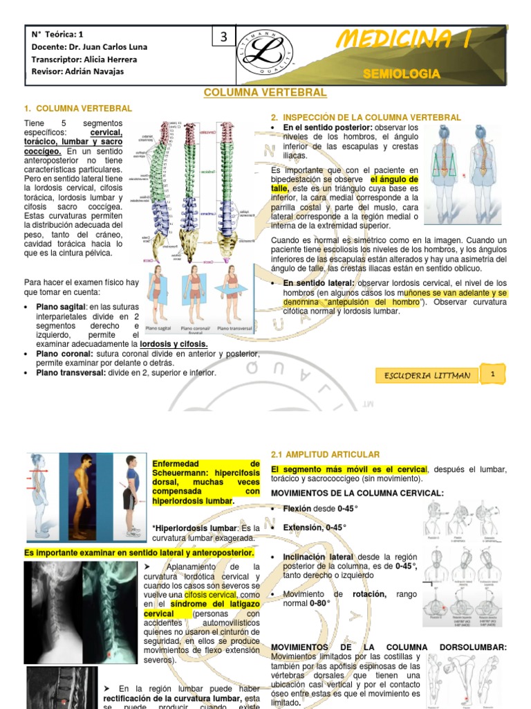 Columna Vertebral | PDF | La columna vertebral | Sistema musculoesquelético
