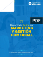 Diplomado Marketing y Gestion Comercial