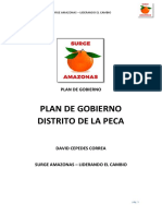 Plan de gobierno 2019-2022 del Distrito de La Peca