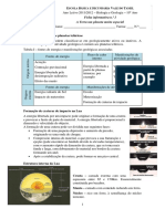 Fichainformativa 1 Lua