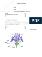 Practical 7 - Angiosperms Marking Guide Exercise 1: Class Dicotyledons