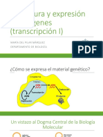 Estructura de Los Genes y Transcripción I