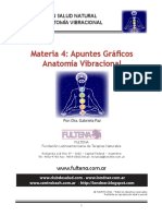 Materia 4 Anatomia Vibracional