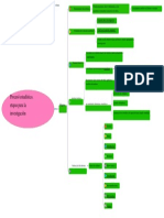 Proceso Estadistico