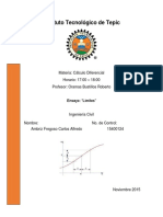 Ensayo Limites