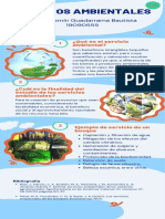 Infografía Servicios Ambientales