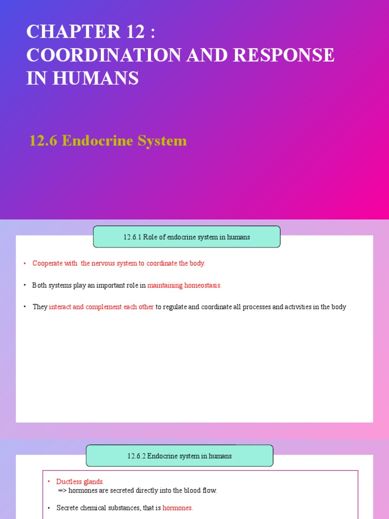 Coordination and Response in Humans: 12.6 Endocrine System | PDF ...