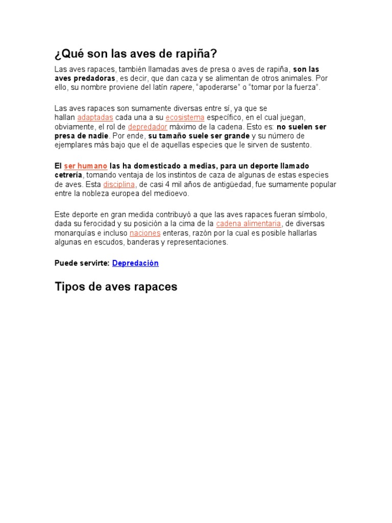 Aves de Rapiña: Definición y Tipos | PDF