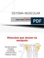 (SM4) Abdutores e Adutores Da Escápula OK