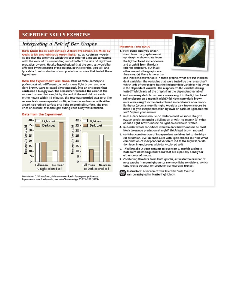 Scientific Skills Exercise | PDF
