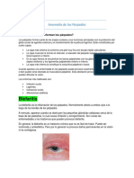 Anomalía de Los Parpados PDF