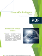 Dimensión Biológica