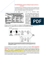 Órganos Primarios y Sec